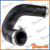Gaine de suralimentation pour CITROEN | GPP-CT-034, 09954